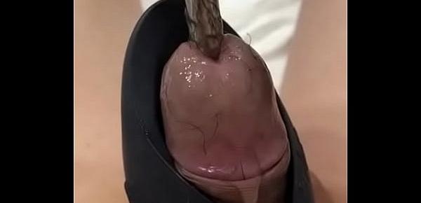  Cock Vibrator Sounding Hair